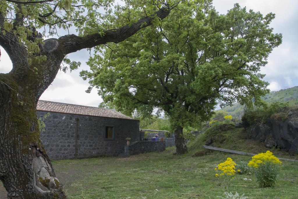 Villa Viola Nel Parco à SantʼAlfio Extérieur photo